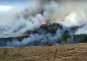 В Белебеевском районе сгорело 1,5 га леса | видео