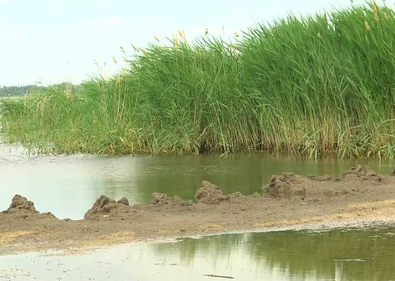 Жители Давлекановского района Башкирии жалуются на обмеление озера Аслыкуль