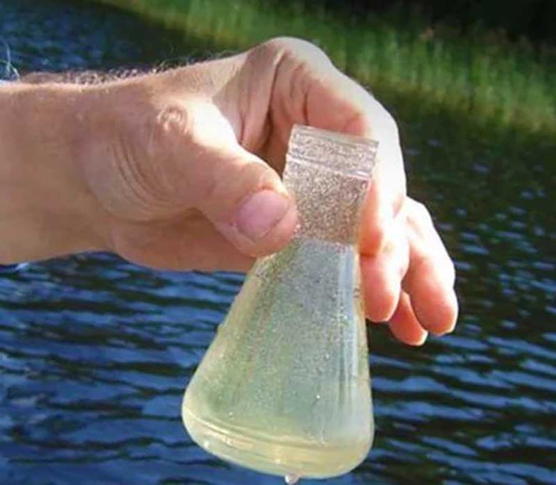 В Ишимбайском районе в питьевой воде обнаружили бактерии кишечной палочки