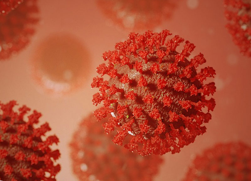 Биологи рассказали, влияет ли жара на коронавирус