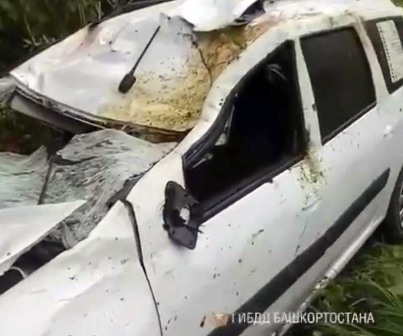 ДТП в Архангельском районе Башкирии: водитель "Лады Ларгус" наехал на лося и погиб, опрокинувшись в кювет
