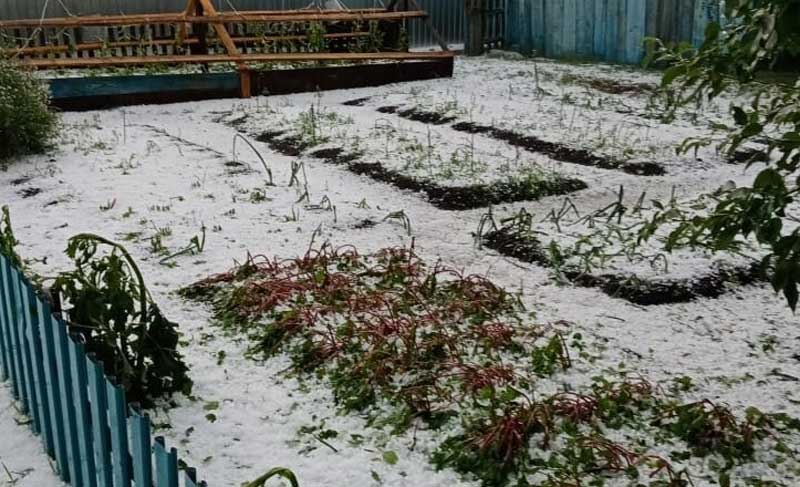 В Салаватском районе Башкирии из-за крупного  града пострадали огороды местных жителей