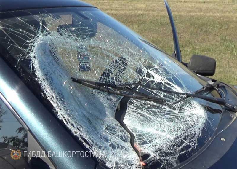 ДТП в Илишевском районе Башкирии: водитель "Лады Гранта" насмерть сбил пожилого мужчину