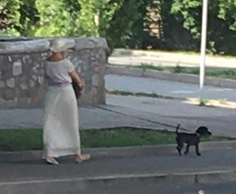 Жительница Уфы распространяла наркотики во время прогулок с собачкой