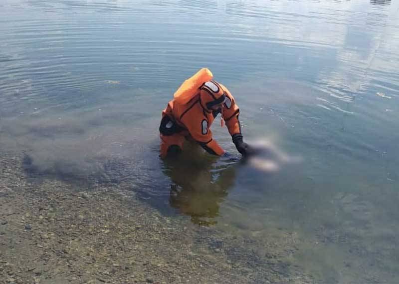 В Уфе из озера Кашкадан спасатели вытащили труп мужчины в одежде