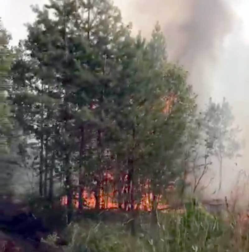 В Башкирии за сутки произошло 10 лесных пожаров