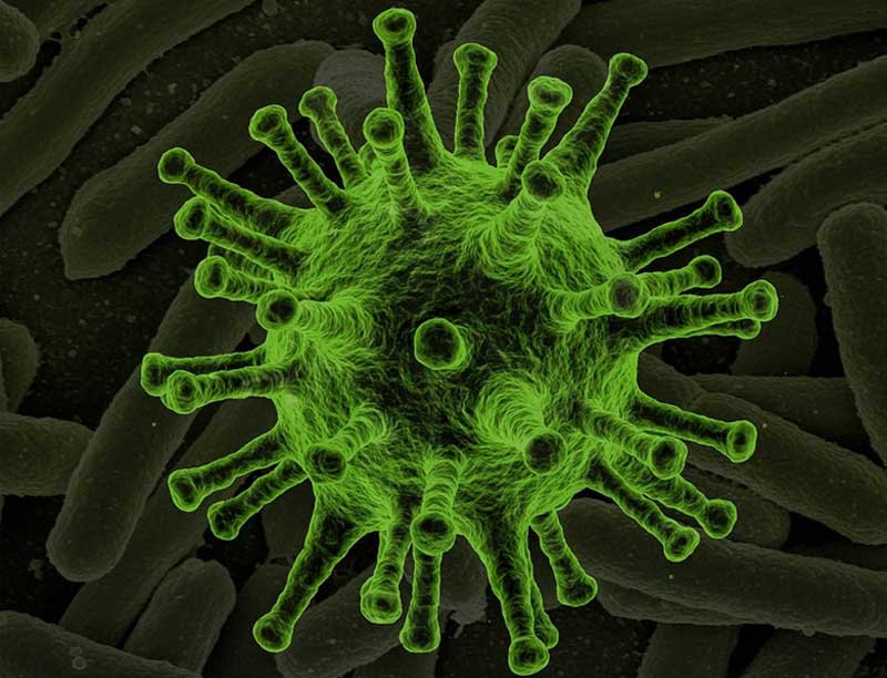 Стало известно о новом штамме коронавируса с летальностью выше 82%