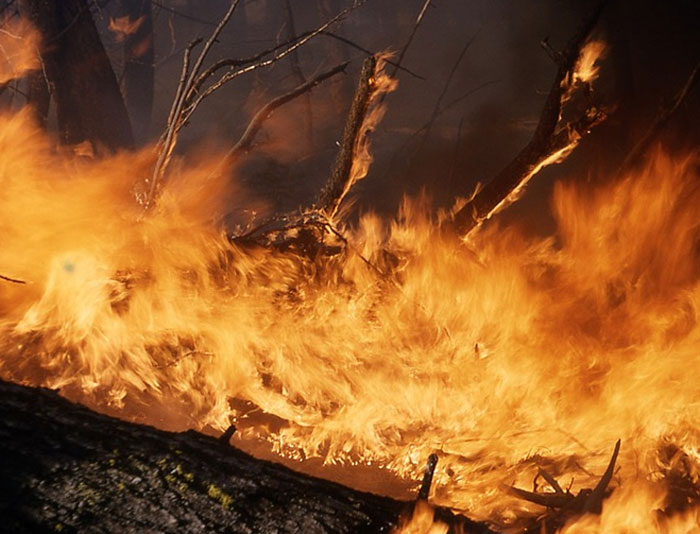 В Башкирии за сутки возникло 6 очагов лесных пожаров