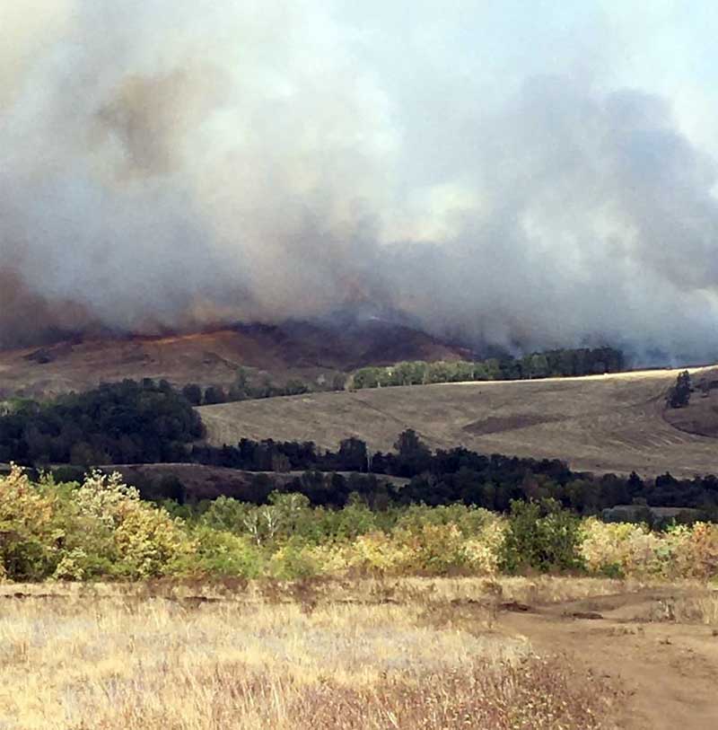 В Зианчуринском районе Башкирии в 4 километрах от деревни загорелся лес