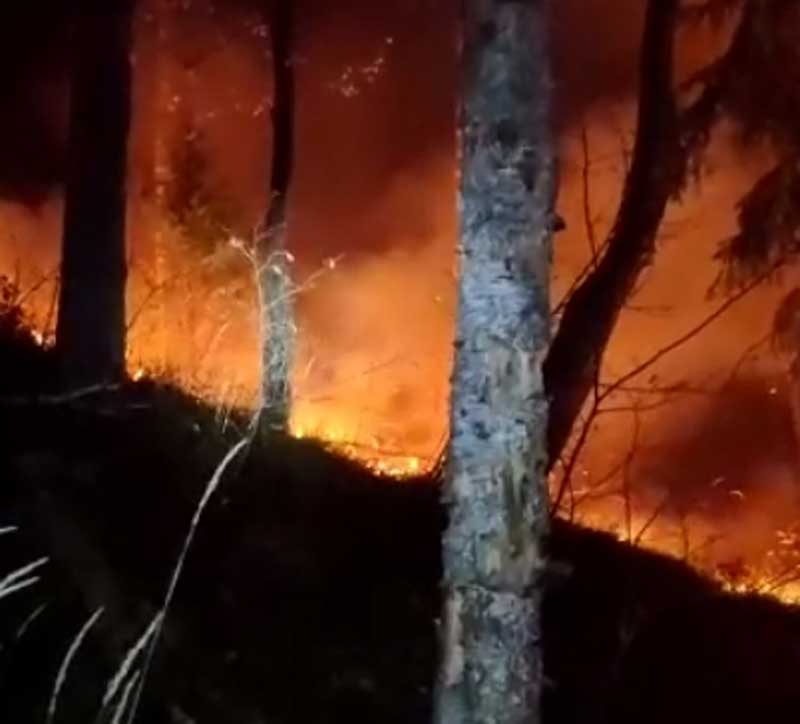 В Гафурийском районе Башкирии на площади 8 га горит природный парк "Зилим"