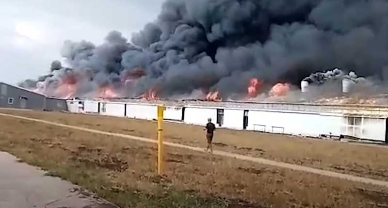 Страшный пожар в Башкирии: в Альшеевском районе загорелась свиноферма (видео)