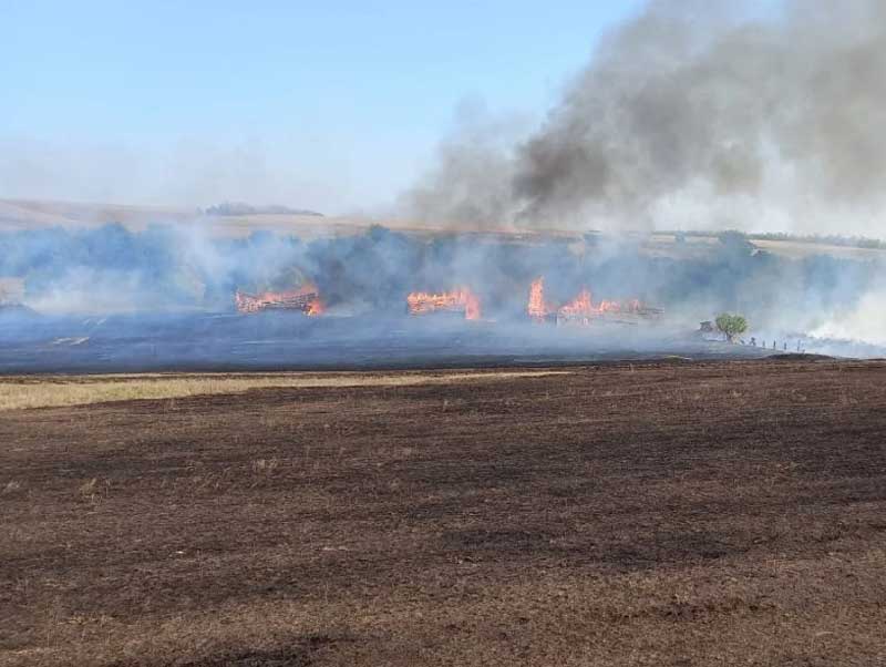 В Башкирии сгорела деревня: в Буздякском районе огонь с полей перекинулся на жилые дома