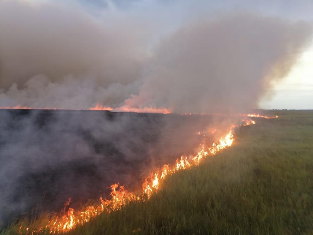 В Благовещенском районе Башкирии от удара молнии загорелись 5 гектаров травы