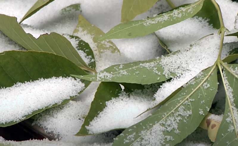В Башкирии спрогнозировали снег и минусовую температуру воздуха