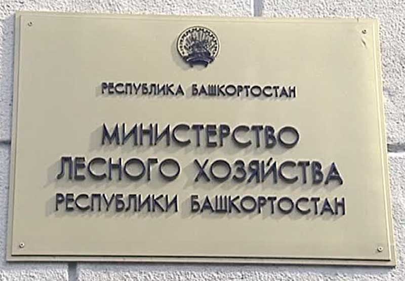 Прокуратура обнаружила ряд нарушений в министерстве лесного хозяйства Башкирии