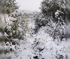 В Учалинском районе Башкирии прошел обильный снегопад