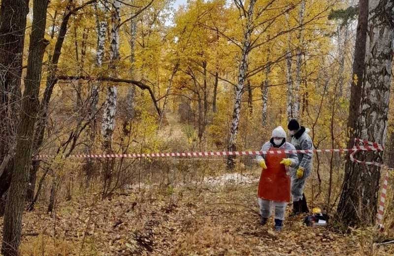 В Башкирии грибники обнаружили в лесу большое количество мертвых тушек индюков