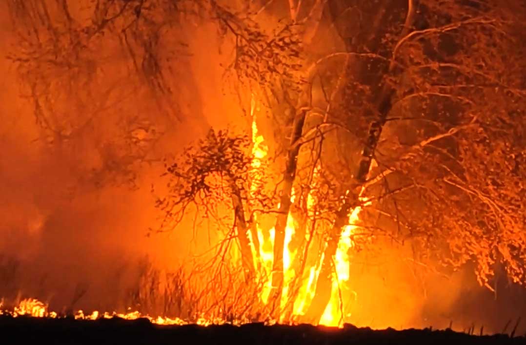 На территории Башкирии снова горят леса