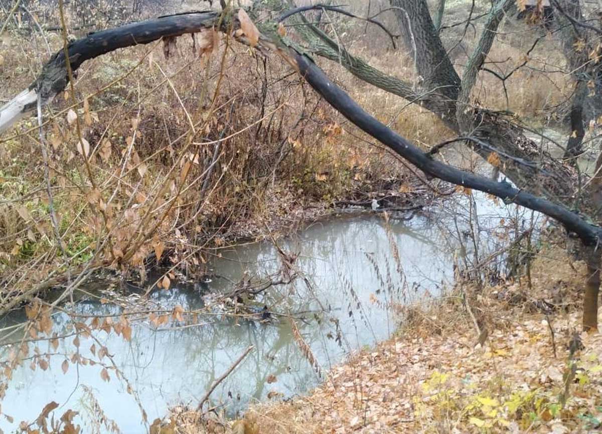 В Башкирии в реке Шугуровка  обнаружили жидкость белого цвета