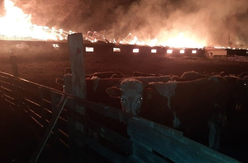 В Башкирии на территории КФХ загорелось здание фермы