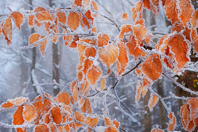 В Башкирии прогнозируется резкое похолодание