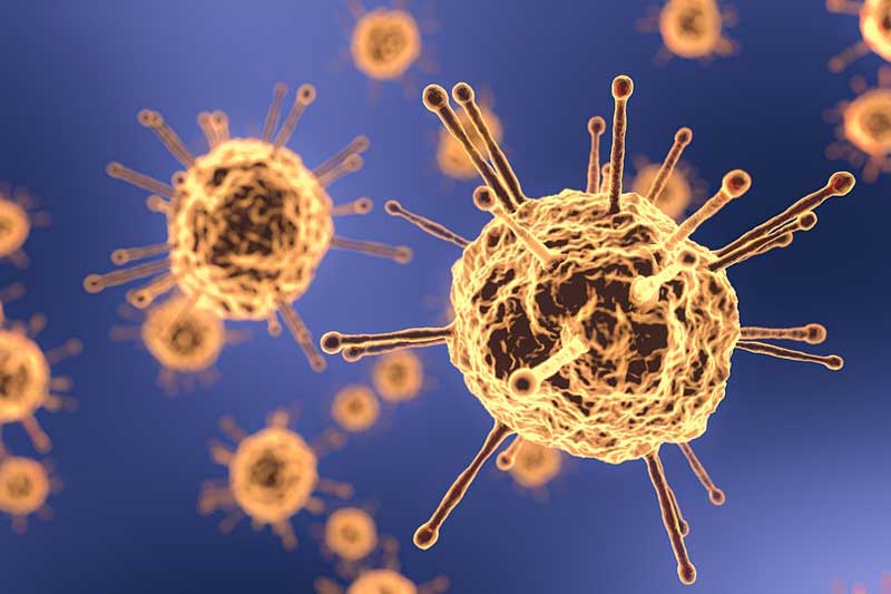 В Башкирии суточный прирост инфицированных коронавирусом составил 674 человека