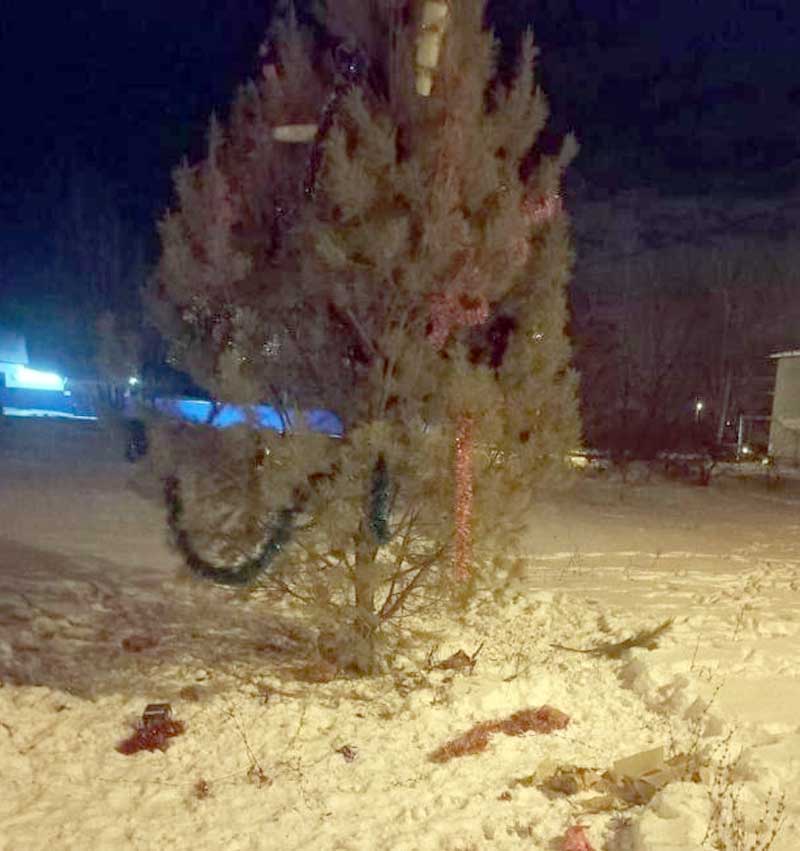 В одном из городов Башкирии неизвестные посрывали игрушки с новогодней ели