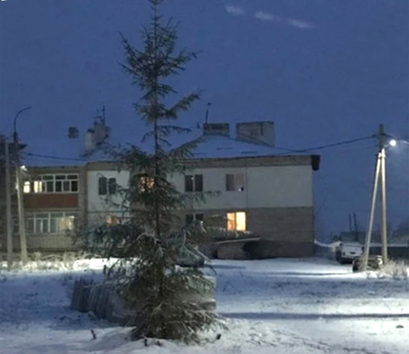 Жители Уфимского района Башкирии возмутились новогодней елкой
