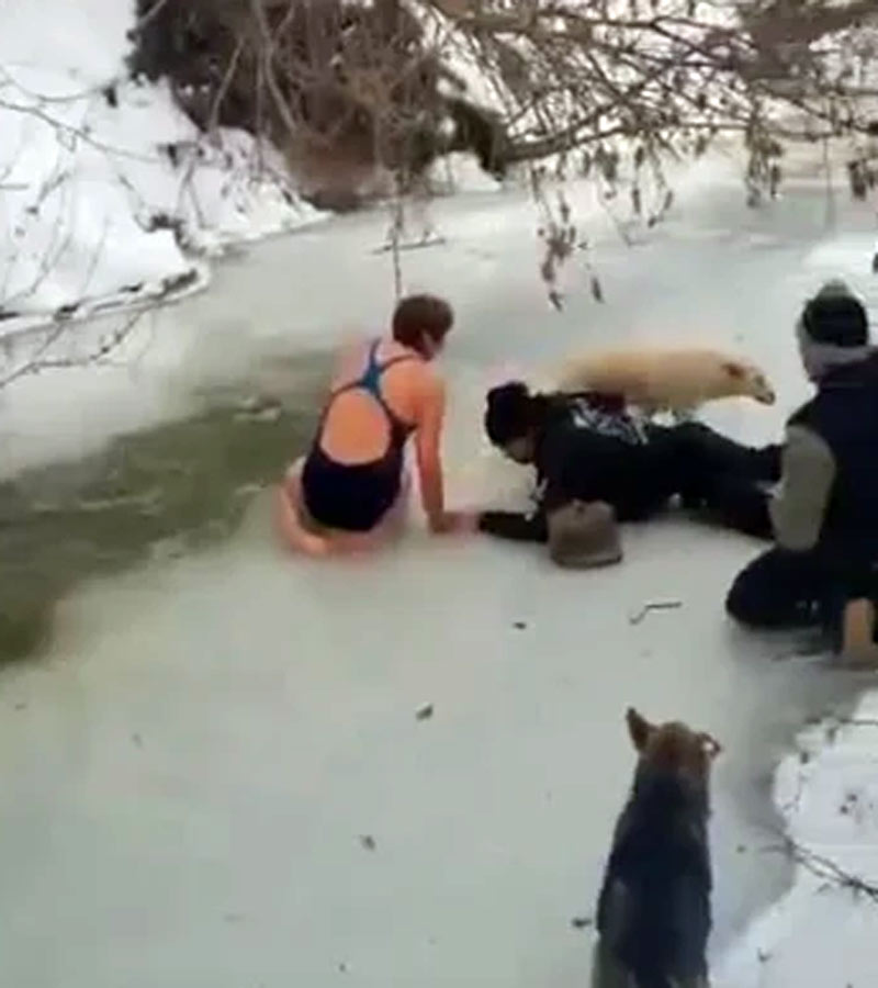 В Башкирии любители закаливания спасли угодившую под лед собаку