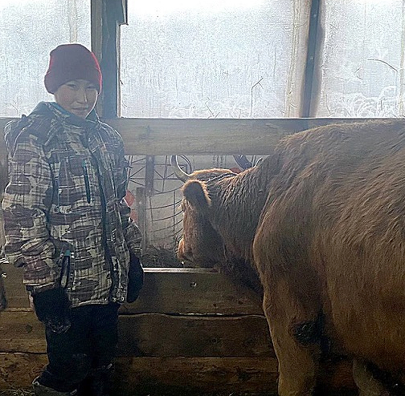 Якутский мальчик получил корову, которую он попросил у Путина во время "прямой линии"