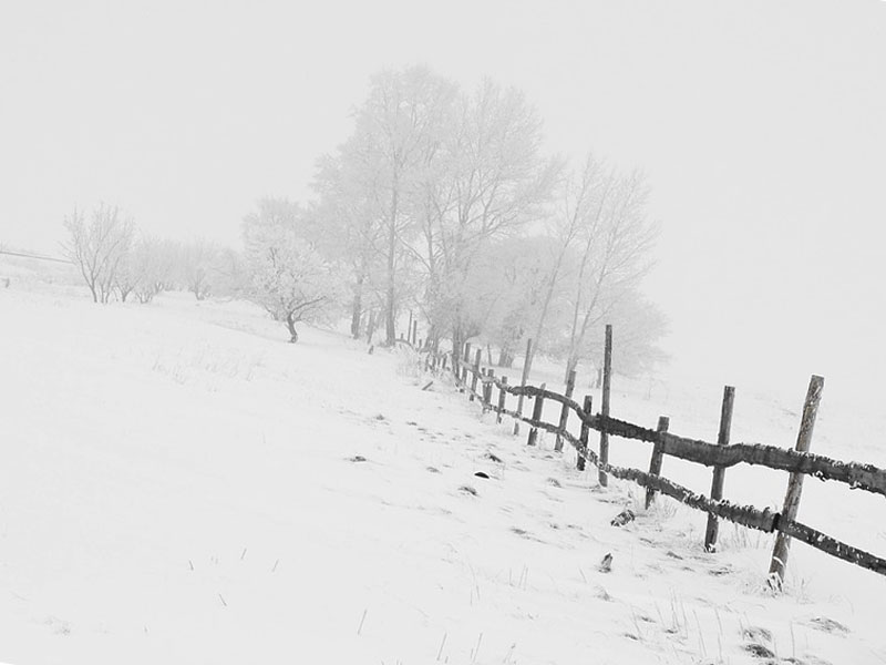 В Башкирии прогнозируются снежные заносы