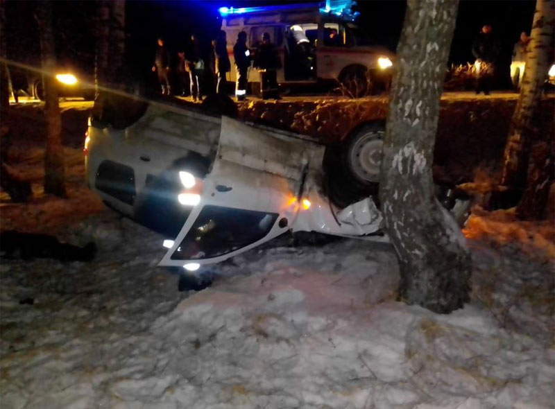 В Башкирии водитель опрокинулся в кювет и врезался в дерево, погиб человек