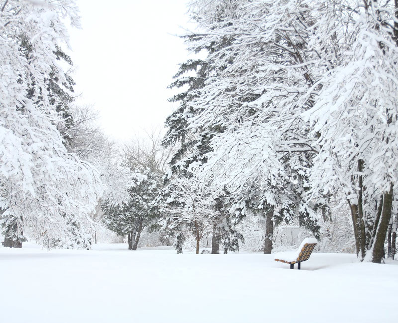Погода в Башкирии 19 января 2022: снег и небольшое потепление