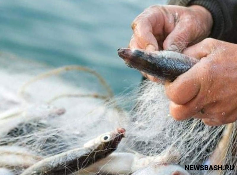В Хайбуллинском районе Башкирии осудили браконьера, который поймал рыбу на 180 тысяч рублей