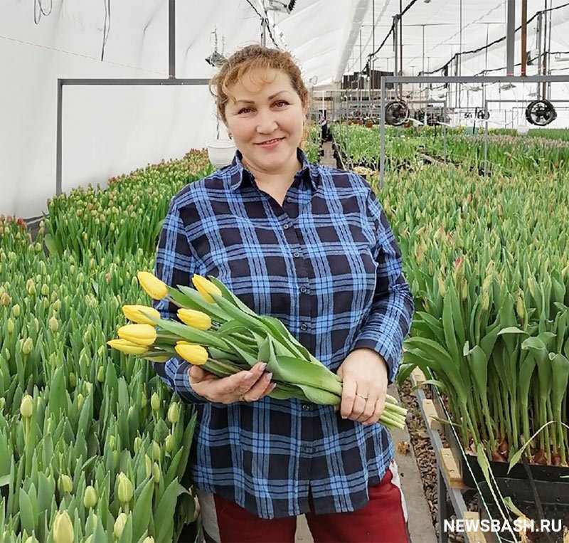 В Башкирии семья вырастила рекордное количество тюльпанов к празднику