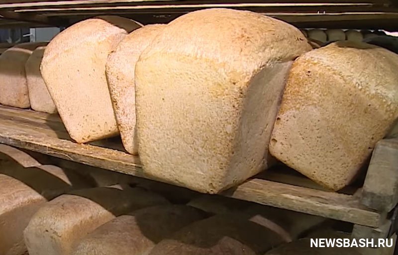 Что будет с ценами на хлеб в Башкирии