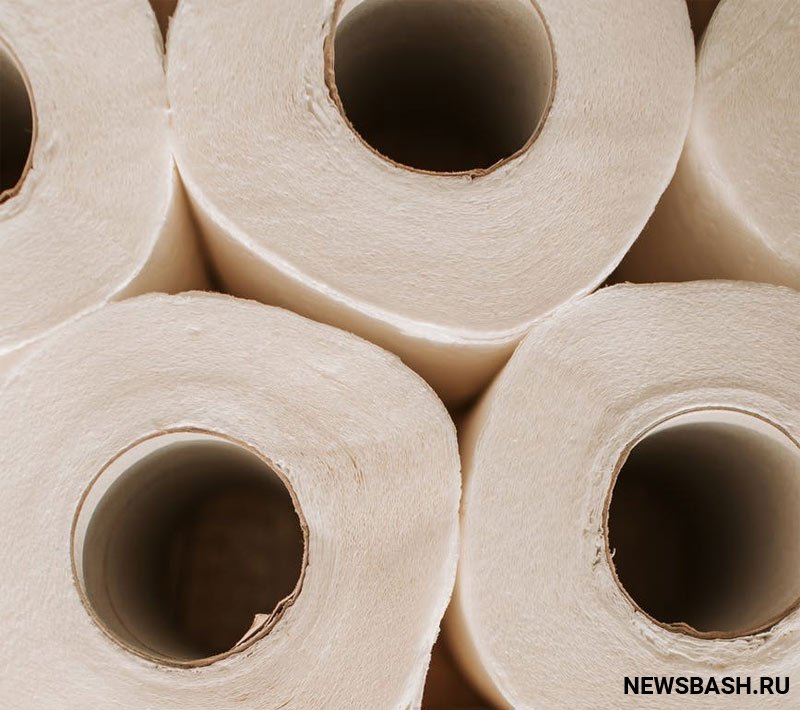В России хотят запустить производство каменной туалетной бумаги