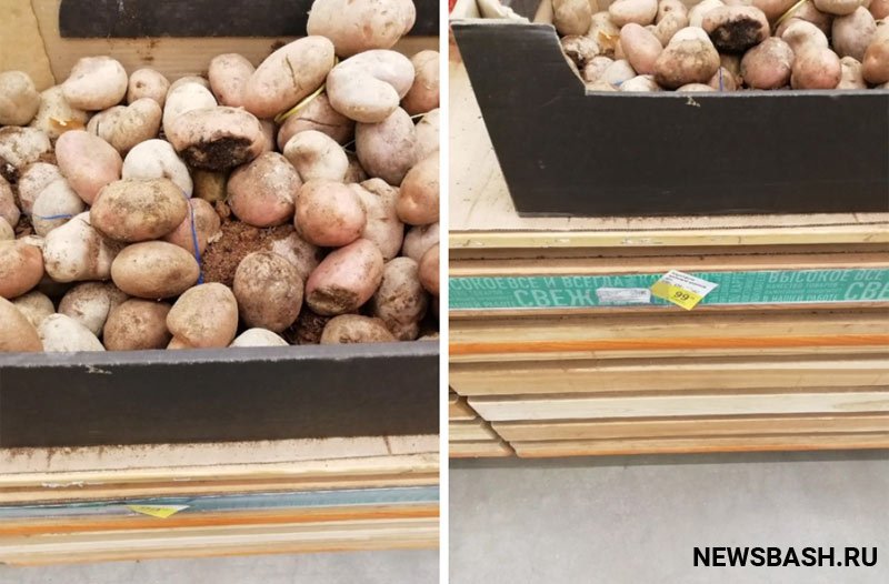 Житель Башкирии был удивлен новыми ценами на картофель