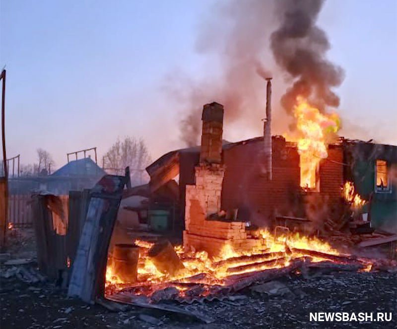 В Башкирии в пожаре погибли корова и теленок