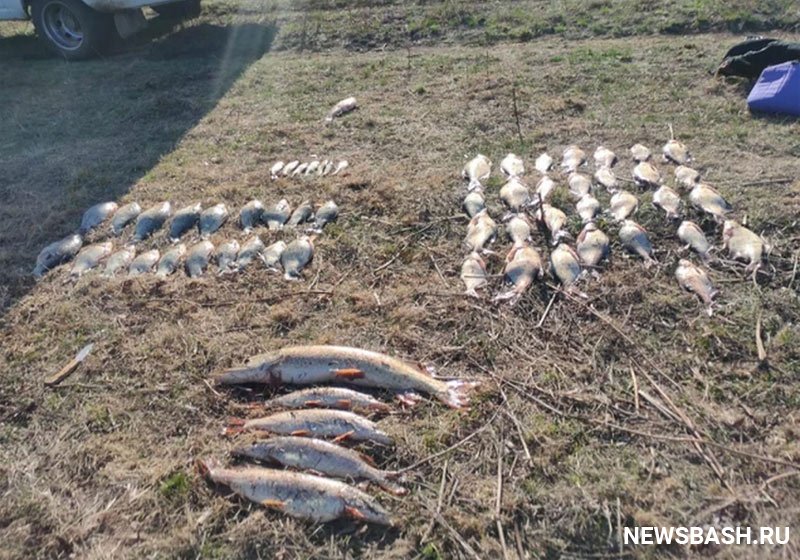 Жителю Башкирии грозит до 2 лет колонии за ловлю рыбы