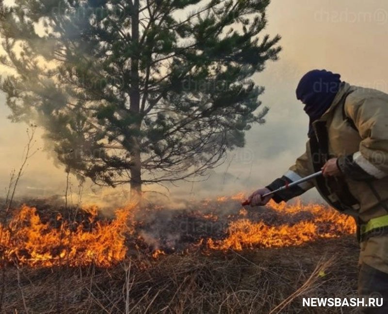 В Башкирии хотят мобилизовать общество на тушение лесных пожаров