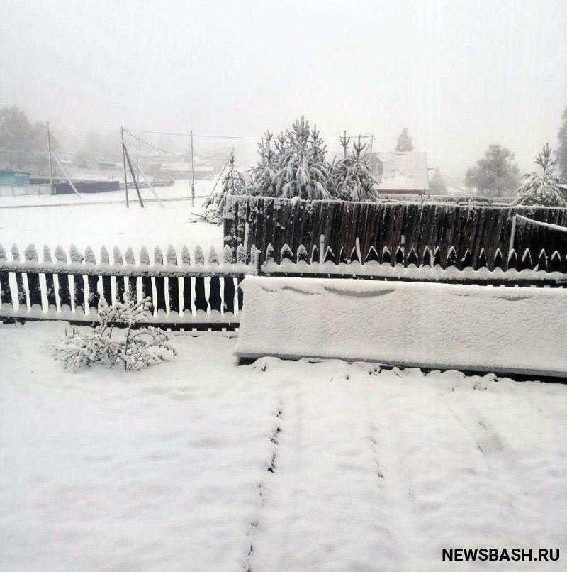 Несколько районов Башкирии завалило снегом