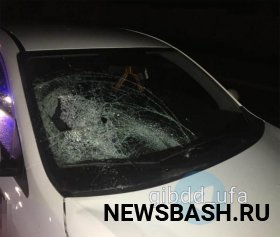 В столице Башкирии водитель Kia Rio сбил пешехода