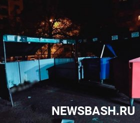 В столице Башкирии на контейнерной площадке сгорел мужчина