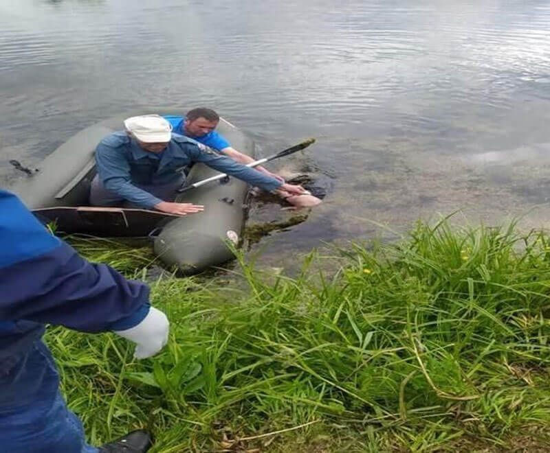 В Башкирии в пруду обнаружили тело женщины