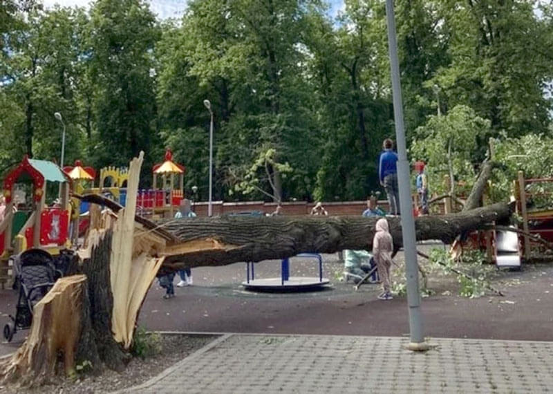 В Башкирии на детскую площадку упало дерево