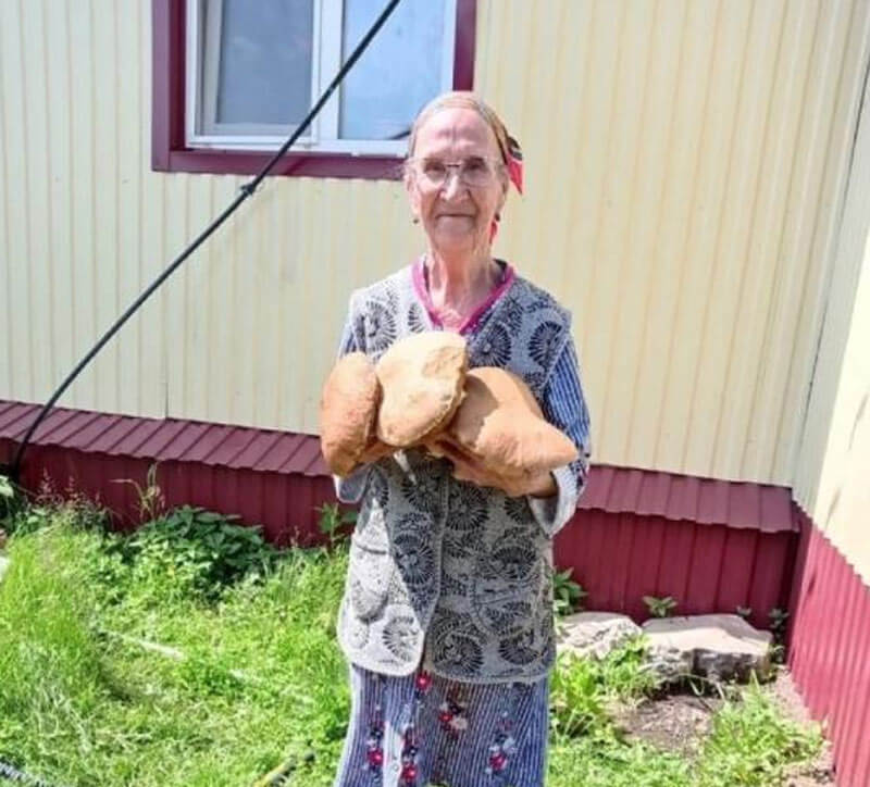 В Башкортостане пенсионерка собрала гигантские белые грибы
