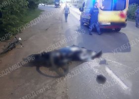 В Башкирии лоб в лоб столкнулись две иномарки: оба водителя скончались на месте
