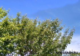Погода в Башкирии 29 июля 2022 года: неустойчивая погода с ветром и грозами