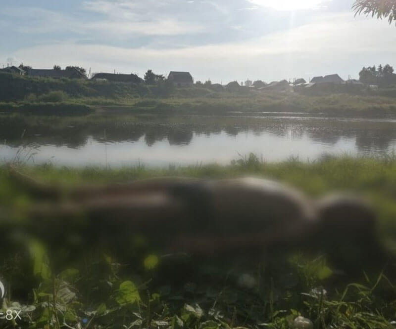 В Башкирии из реки достали тело 12-летнего мальчика